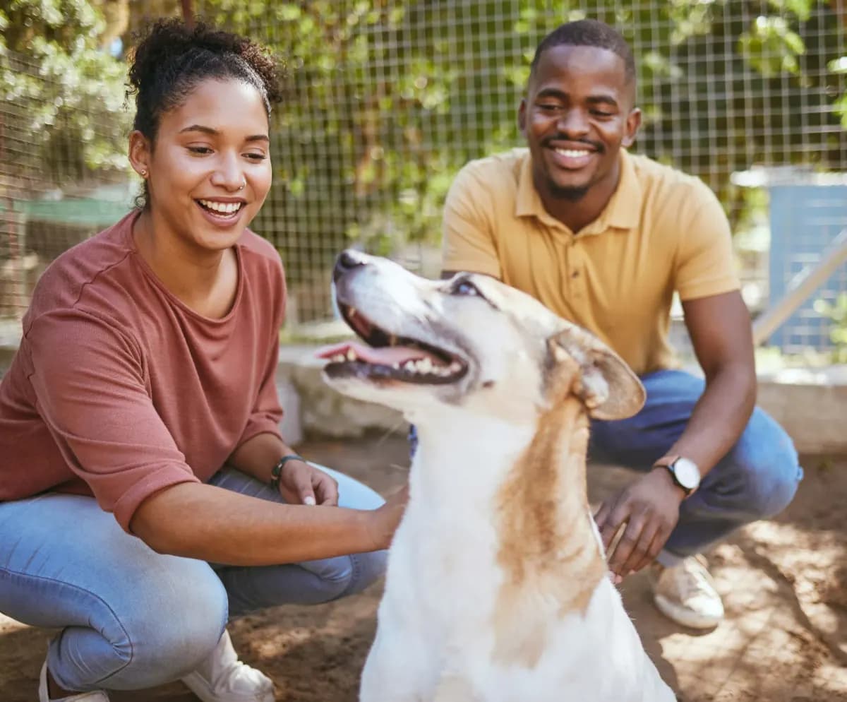 Deux personnes avec leur chien guéri